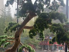 -百富源·海鲜辽菜(和平北大街店)