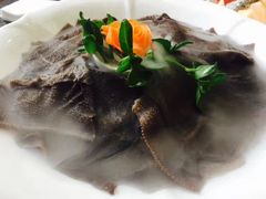 -绵阳森林雨鸭肠王火锅城(丽景花城店)