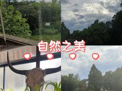 -野蔓果·山野菜(西湖景区·龙井茶田店)