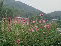 -双新垂钓园