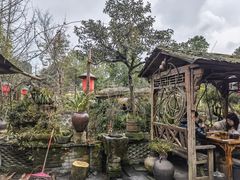 -青城甲(青城山店)