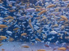 -成都浩海立方海洋公园