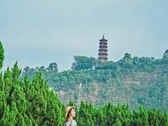 -南沙蒲洲花园