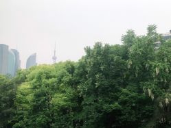 -上海首尔丽格医疗美容医院