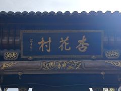 -杏花村文化旅游区