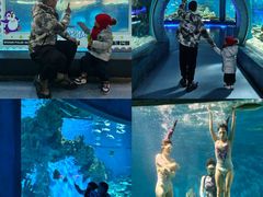 -海合安武汉极地海洋公园