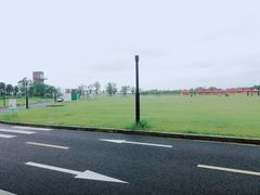 -春花秋色城市公园