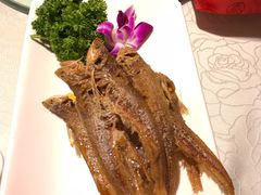 -金米箩大酒店(五角场店)