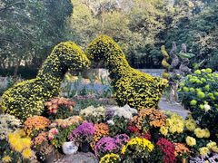-杭州植物园