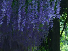 -太姥山风景名胜区