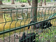 -长白岛森林公园