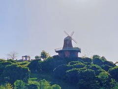 -东莞植物园
