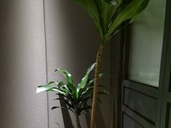 -徐记海鲜(观沙岭|滨江新城店)