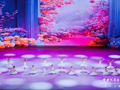 -中央芭蕾舞团·中芭艺蕾(酒仙桥明星校区)