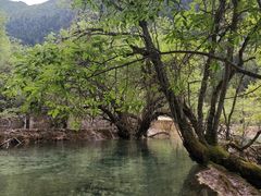 -黄龙山原始森林景区