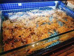 -小厨师·二十年沈家门小海鲜(百井坊巷店)