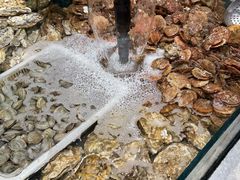 -和源祥·日照菜扛把子(万平口一店)