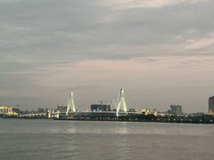 -万绿园