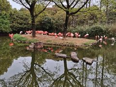 -上海野生动物园