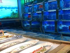 水产区-江南韵·无锡太湖文化体验餐厅(凤凰天街店)