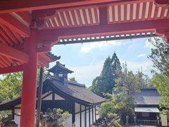 -奈良公园