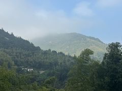 -长沙黑麋峰国家森林公园