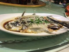 -聚春园自助餐厅(东街口店)