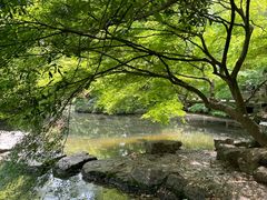 -印象西湖·最忆是杭州实景演出