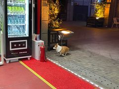 -Stone Motion Fitness 释动健身