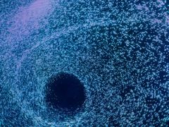 -梵高星空艺术馆(北京旗舰店)
