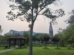 -华东政法大学(松江校区)