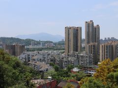-福道
