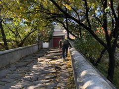 -阳台山自然风景区