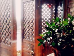 -慢丽江·云南野生菌土鸡锅(付家庄店)