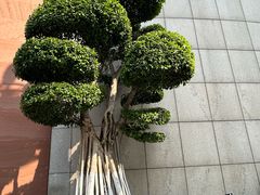 -白鹤梁水下博物馆