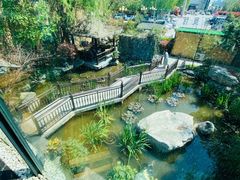 -聚缘堂·海鲜私房菜(松岭路店)