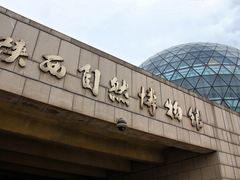 -陕西自然博物馆