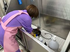 -北京观赏动物医院·24小时大型综合·猫专科·异宠专科