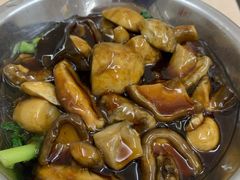 蚝油双菇浇头-玉华饮食店(茅台路店)