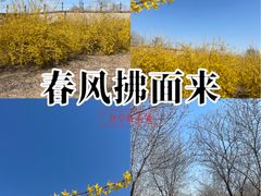 -云岗森林公园