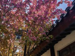 -济南国际园博园