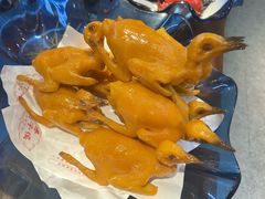 -鸽子侯·家宴·平价海鲜(绿地店)