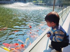 -太子园林酒家