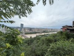 -白塔山公园