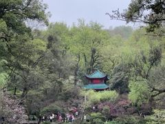 -岳麓山风景名胜区