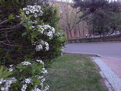-辽宁大学(崇山校区)