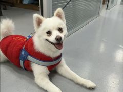 -心仪动物医院·牙专科·肿瘤·心脏科(西客站院)