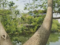 -木守西溪溪隐餐厅