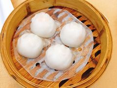 -雅园大酒楼(东门店)