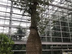 -南山植物园